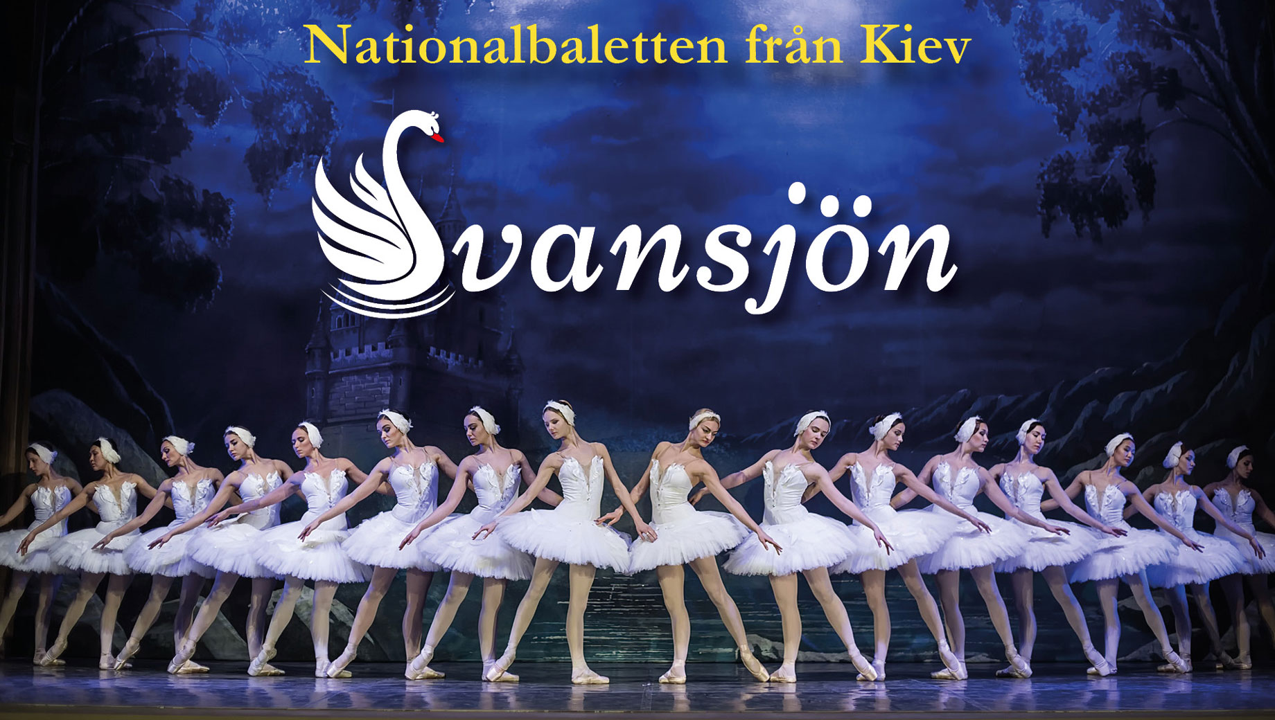 Svansjön - Nationalbaletten från Kiev