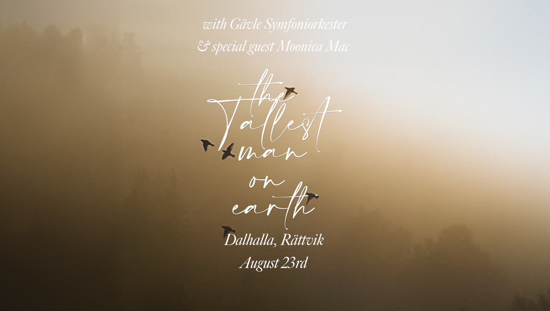 The Tallest Man on Earth möter Gävle Symfoniorkester i Dalhalla