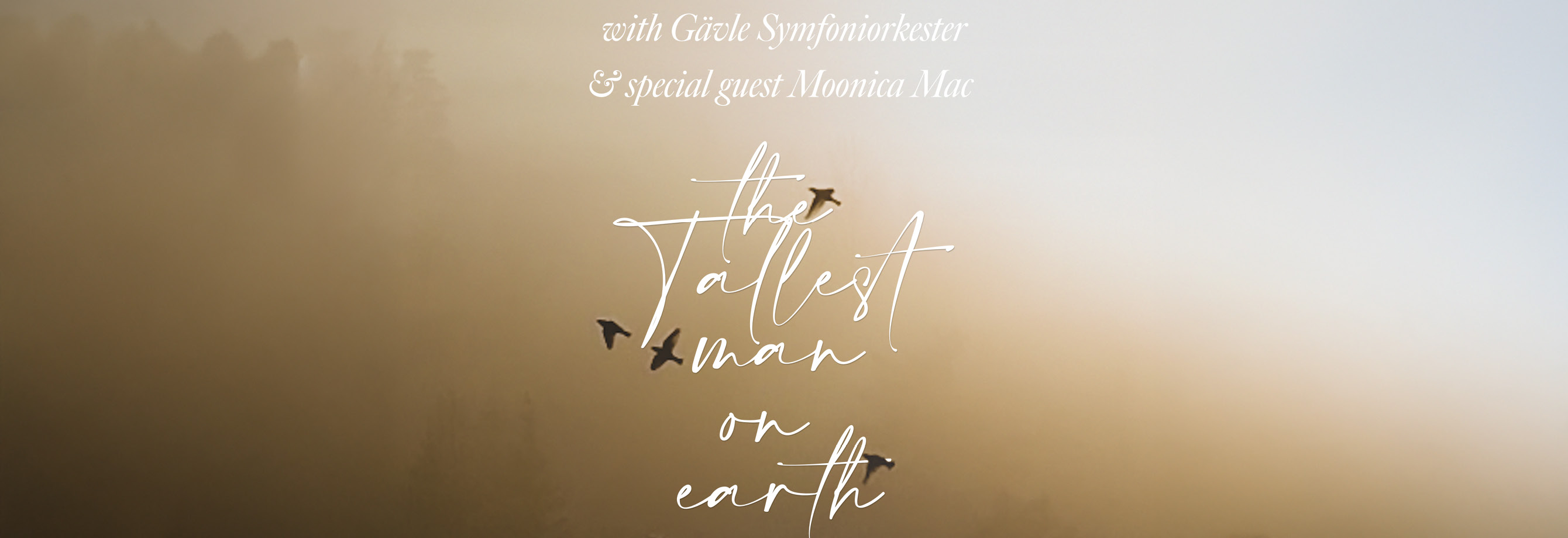 The Tallest Man on Earth möter Gävle Symfoniorkester i Dalhalla
