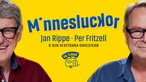 Minnesluckor