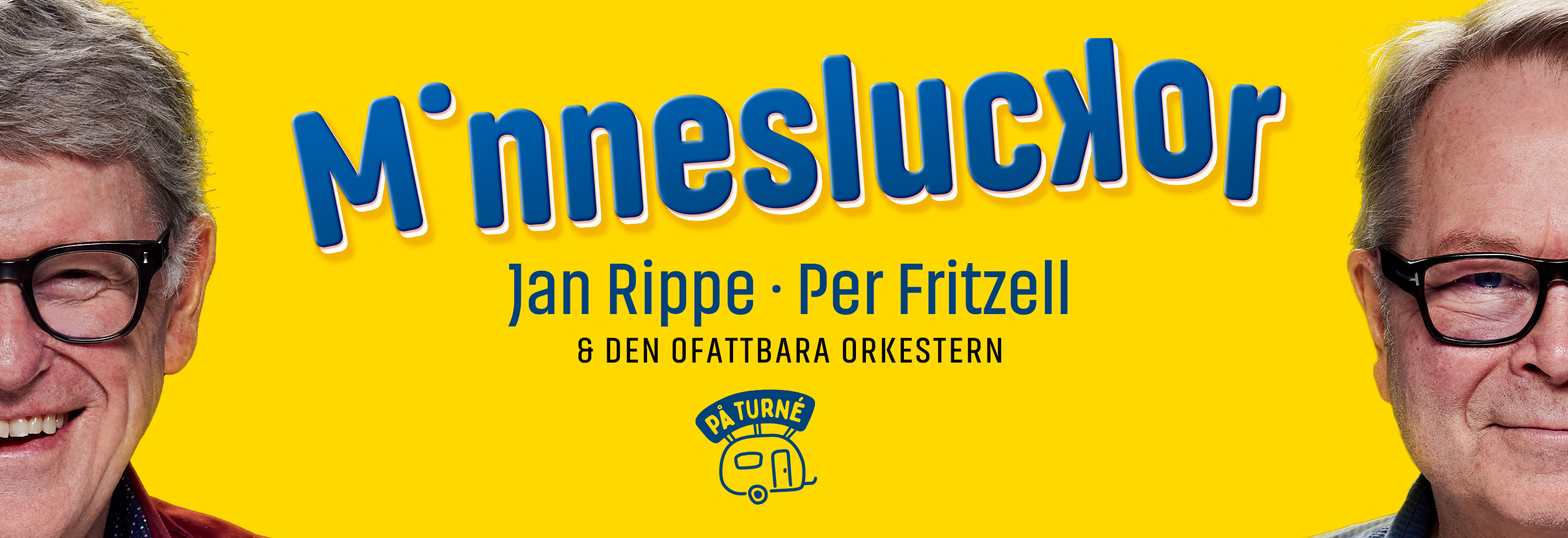 Minnesluckor