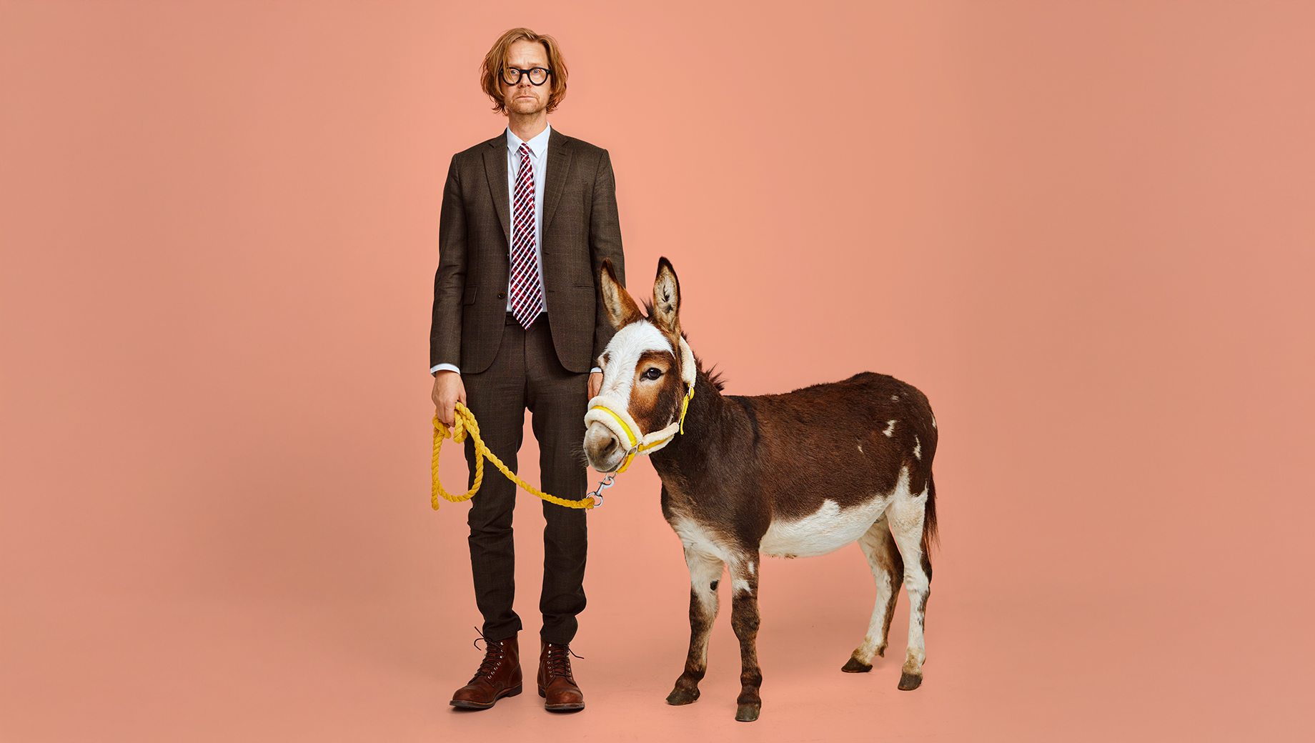 Det är samma åsna, bara med en ny sadel